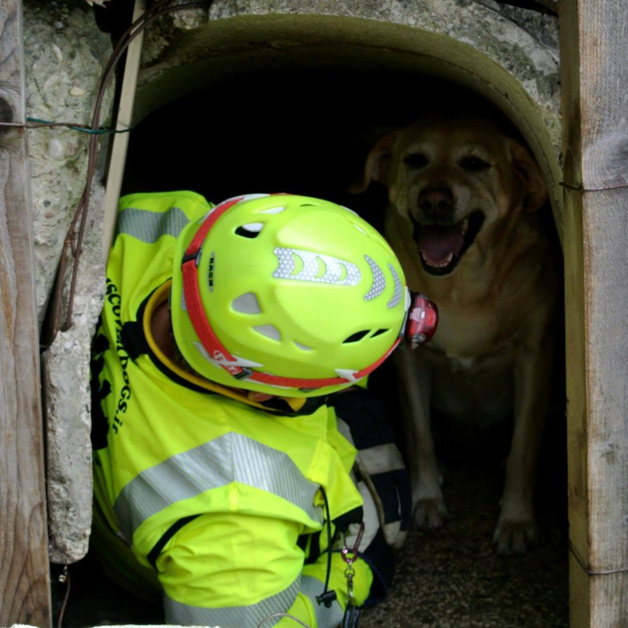 Search&Rescue Dogs and Civil Protection