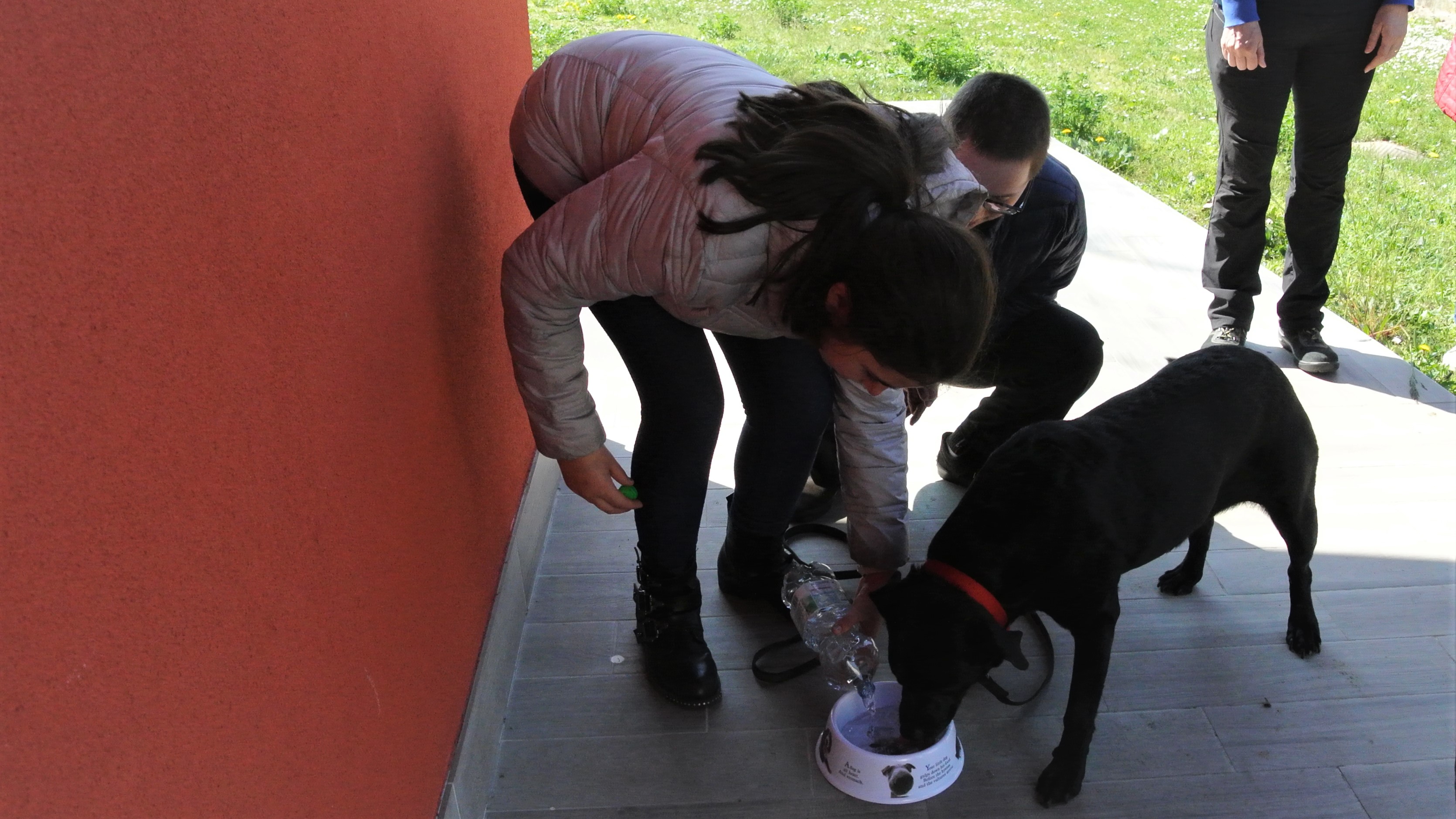 Gestione Autonoma del Cane