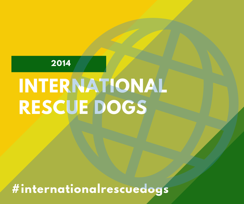 International Rescue Dogs