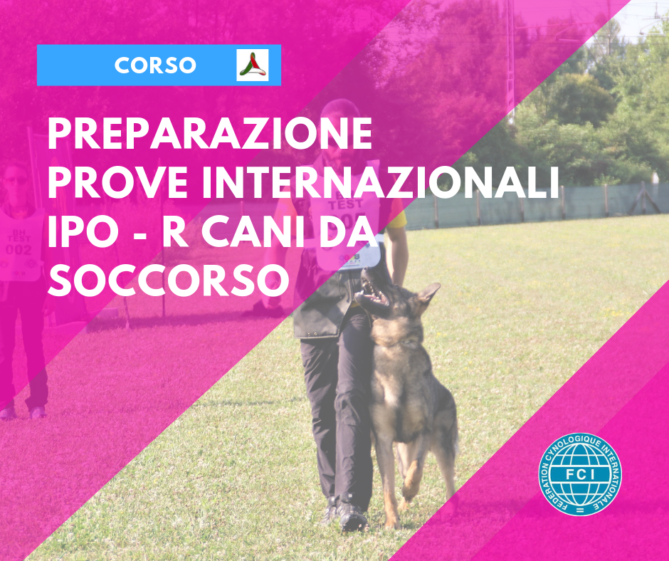 Corso di Preparazione Prove Internazionali IPO-R cani da Soccorso