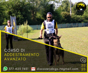 Corso addestramento avanzato