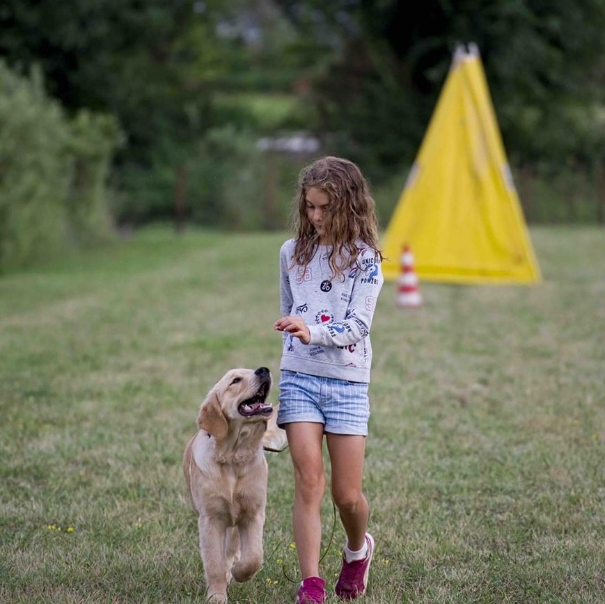 Corsi Personalizzati Addestramento Cani