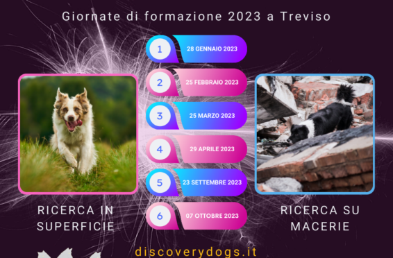 Preparazione-Cane-da-Soccorso-2023-a-Treviso