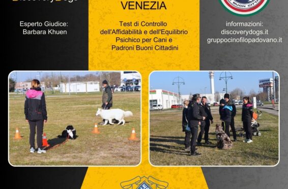 E.N.C.I. CAE-1 Test 2025 Venezia