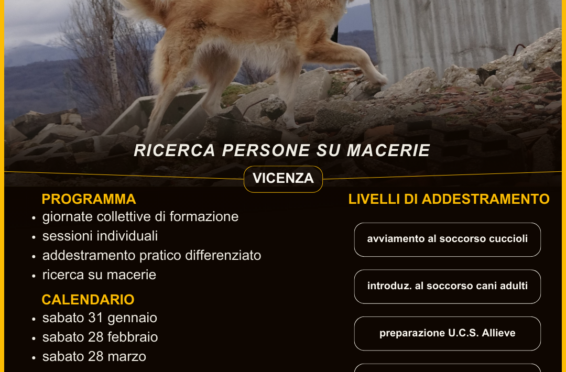 Corsi-Addestramento-Cani-da-Soccorso-a-Vicenza