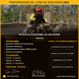 Corsi Addestramento Cani da Soccorso a Vicenza