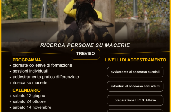Corsi Addestramento Cani da Soccorso a Vicenza